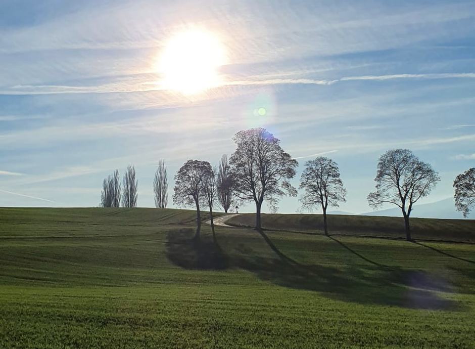 Un chemin traversant les champs du Val-de-Ruz dans la lumière du matin