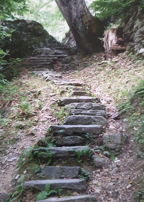Un escalier de pierre montant dans la forêt